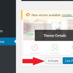 Deleting A WordPress Theme