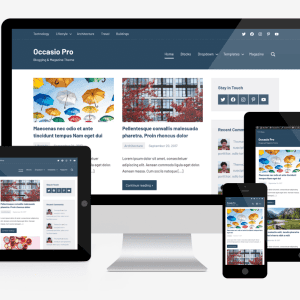 WordPress Theme