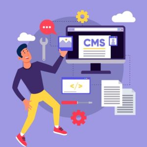 hire-wordpress-developers