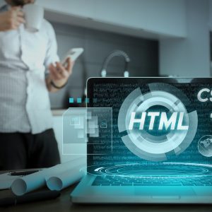 wordpress-development